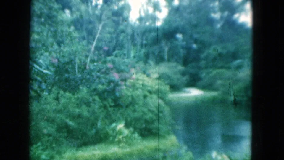 1975 Florida 8mm frame looking across still water and dense foliage, with the path partly visible in the distance.