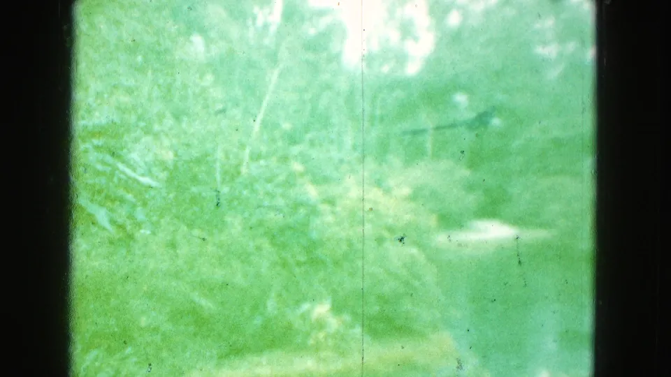 Soft green 8mm frame of dense Florida foliage viewed through a dark window or film edge, with heavy blur and visible dust.