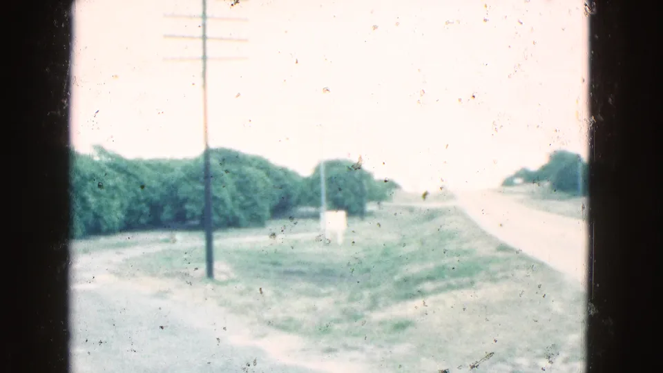 Soft 8mm view of a Florida roadside in 1975, showing hedges, a telephone pole, open grass, and a pale road curving away.