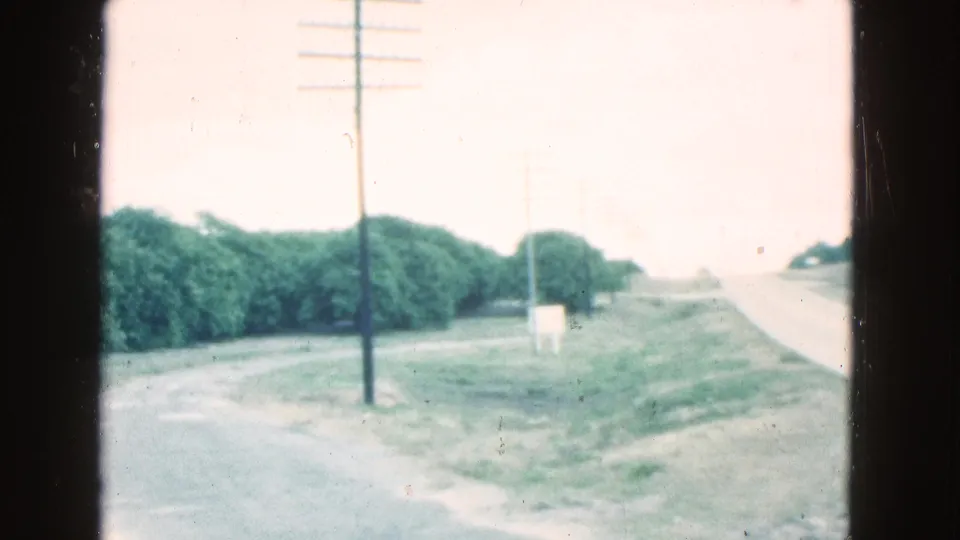 1975 Florida roadside frame with a telephone pole, trimmed hedges, grassy verge, and a pale curving road captured in soft 8mm color.