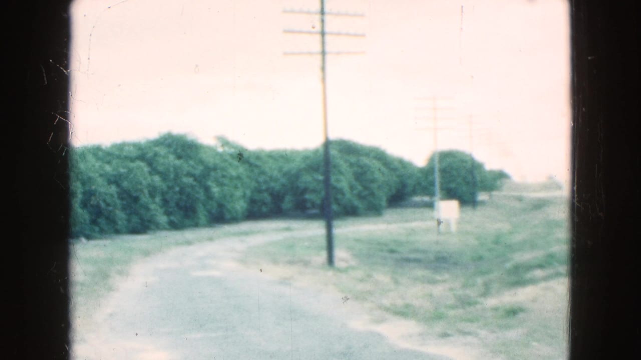 Roadside trees and a utility pole beside a curving rural road.