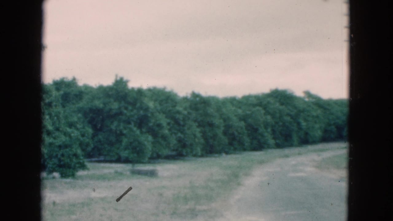 1975 Florida 8mm view of a winding rural road beside a grassy field and green tree line on a cloudy day.