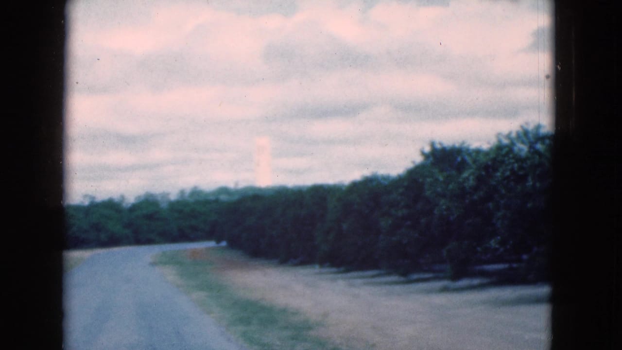 Curving road beside trees under an overcast sky, with a pale tower in the distance.