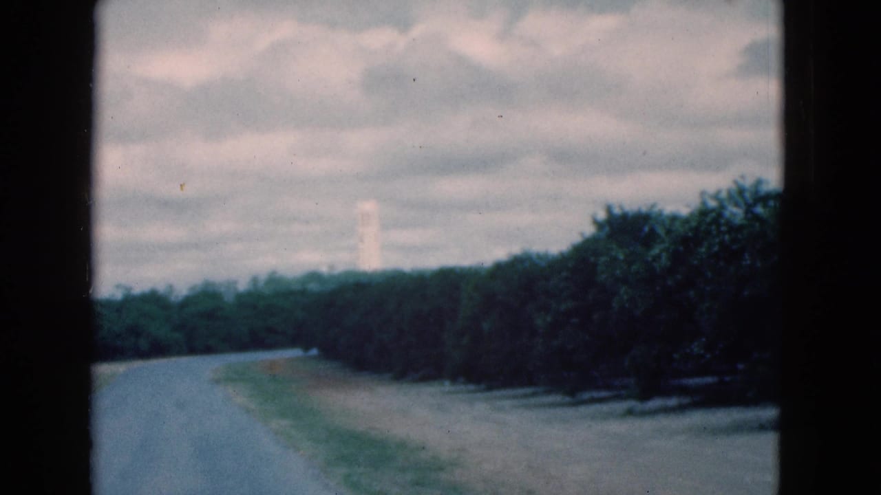 1975 Florida home-movie view of a roadside treeline and distant white tower from a moving vehicle perspective.