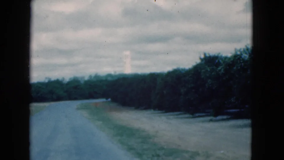 1975 Florida 8mm home-movie frame showing an empty road edge, dark trees, overcast sky, and a distant pale tower.