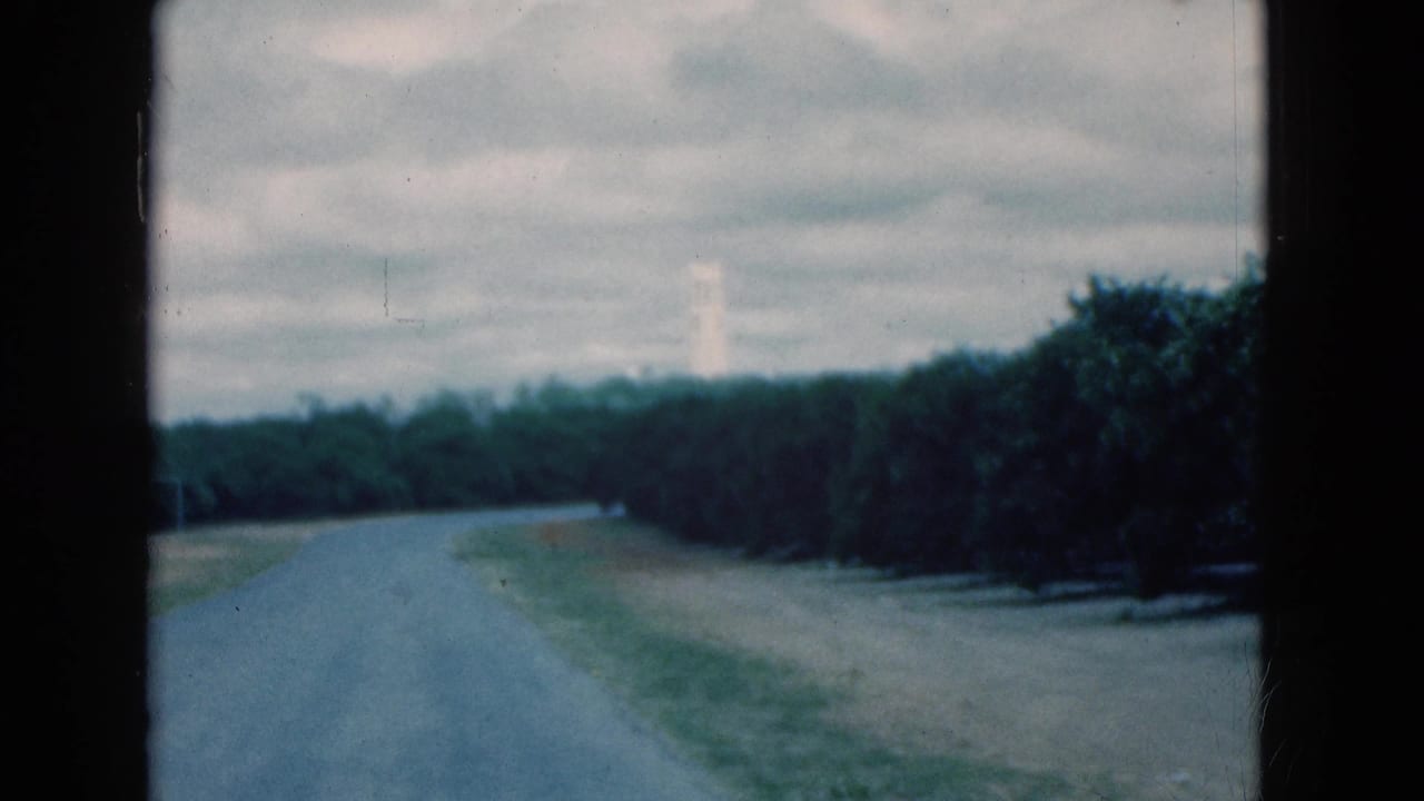 1975 Florida home-movie view of a quiet road bordered by trees, filmed through a dark window frame with a distant pale structure visible.