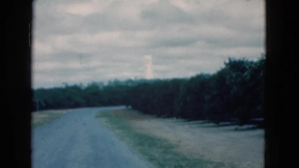 1975 Florida home-movie view of a quiet road bordered by trees, filmed through a dark window frame with a distant pale structure visible.