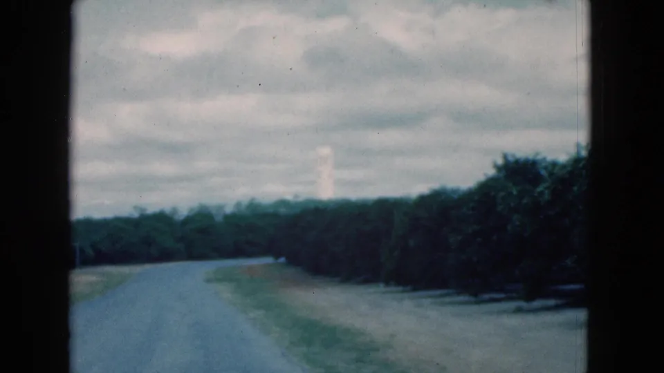 1975 Florida 8mm footage frame with a blue-toned rural road, dense roadside trees, overcast sky, and vehicle-window framing.