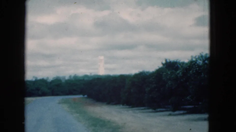 1975 Florida travel frame showing a quiet road beside dense trees and open grass, filmed from a moving vehicle window.