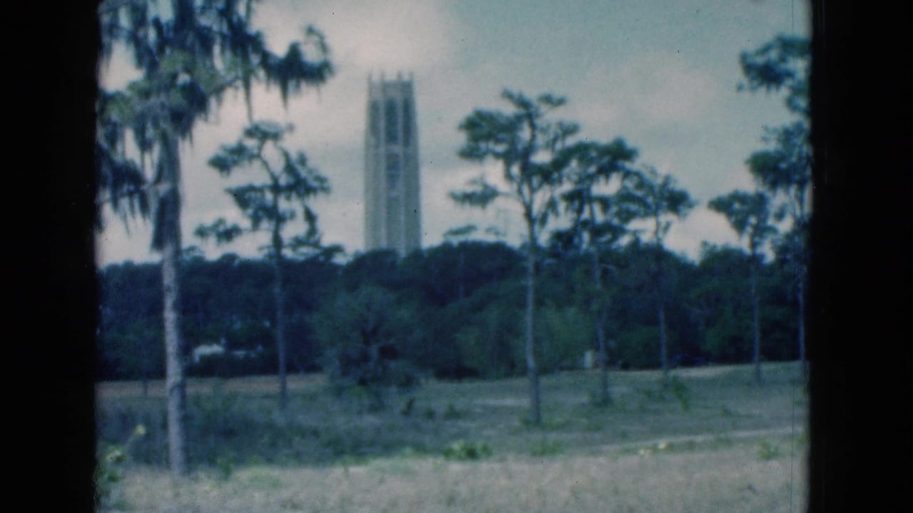 Distant tall tower above a tree line with palms, moss, grass, and cloudy sky.