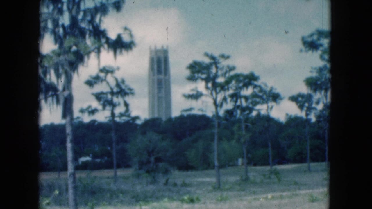 1975 Florida home-movie frame with a tall distant tower framed by palms, mossy branches, low trees, and muted overcast light.