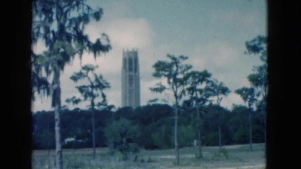 Soft 1975 Florida 8mm frame showing a distant tower above a dark tree line, with palms, hanging moss, grass, and gray-blue sky.