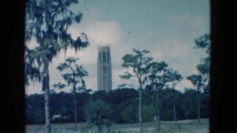 1975 Florida 8mm frame with a distant vertical tower, palms, moss, grass, and heavy dark borders from the scanned film frame.