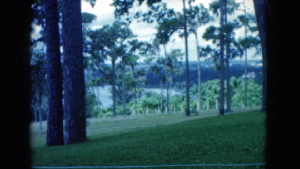 1975 Florida 8mm frame showing a grassy lakeside slope, tall trees, water, and a wooded far shore.