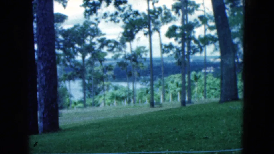 1975 Florida home-movie frame looking through trees across a lake from a landscaped grassy hillside.