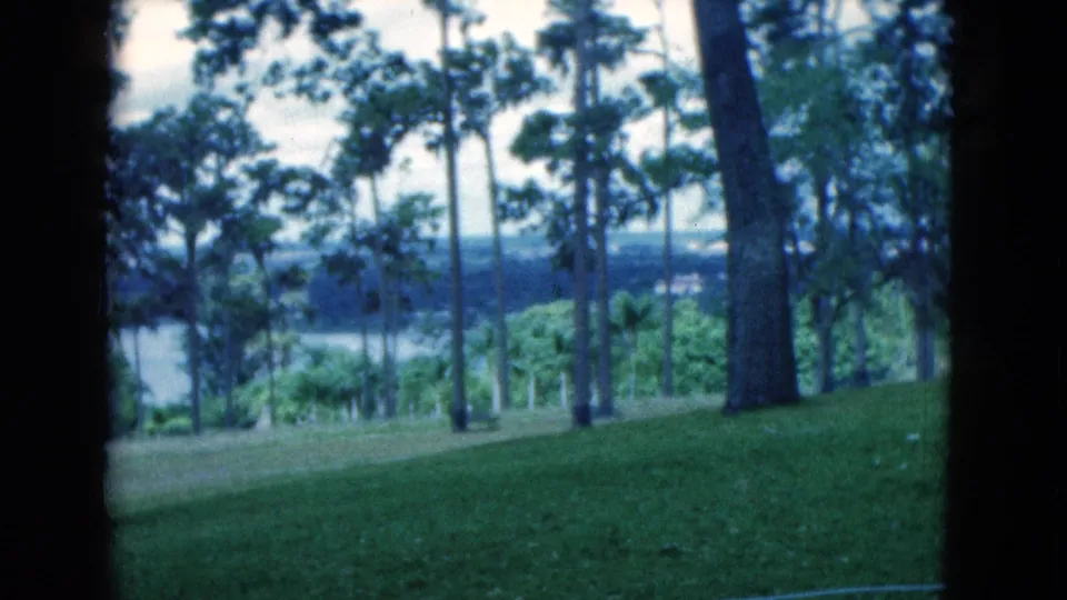 1975 Florida home-movie frame of a tree-lined green slope with water glimpsed through the trunks under a pale sky.
