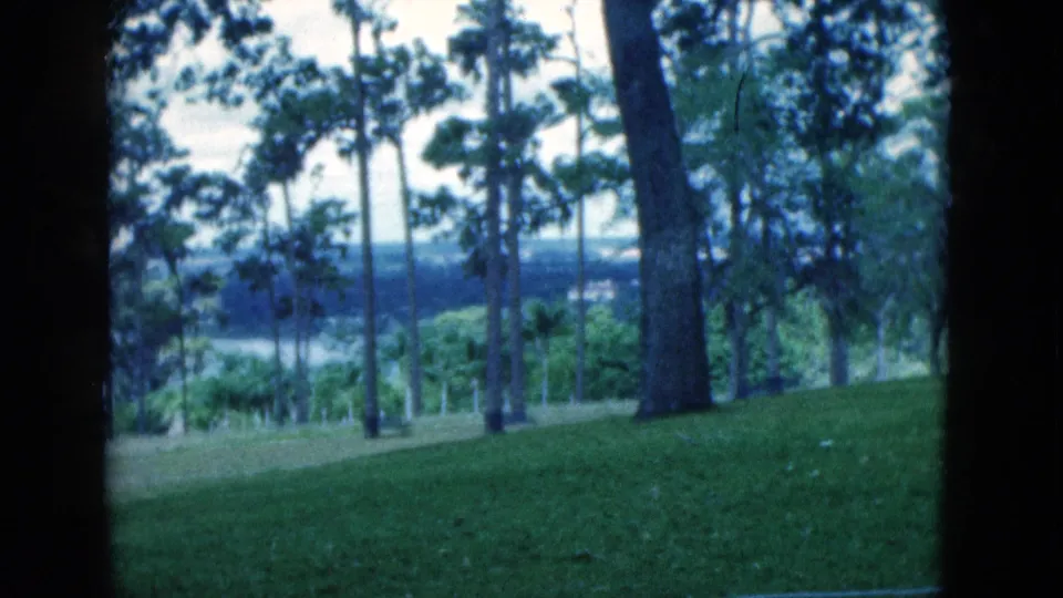 Soft 1975 Florida 8mm frame showing a lawn, clustered trees, and a distant river or lake beyond the greenery.