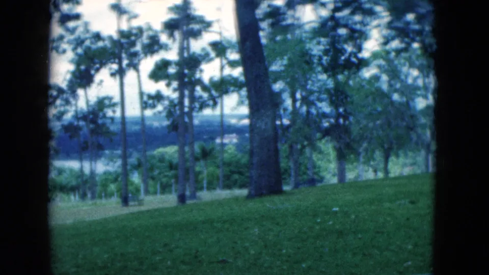1975 Florida frame with a green slope, tall trees, and a partially obscured body of water seen through foliage.