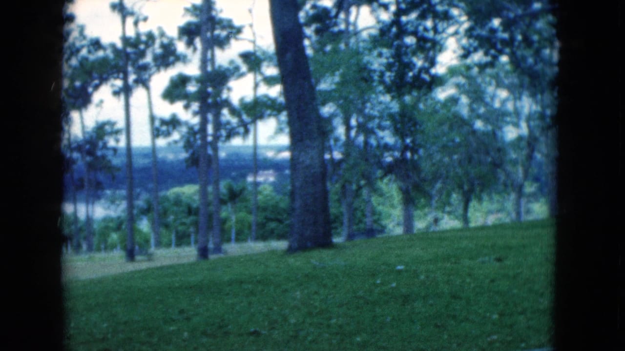 1975 Florida 8mm frame showing tall trees, palms, and a green park slope viewed from a handheld visitor perspective.