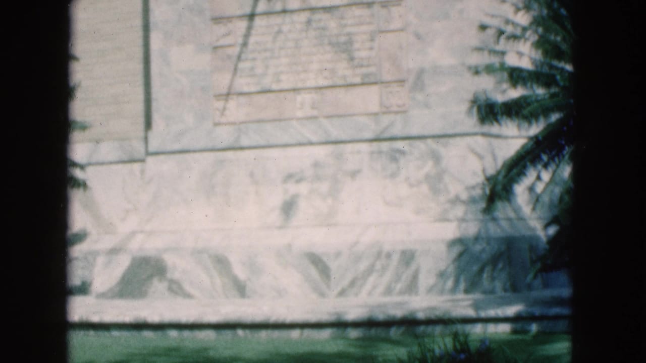 Weathered carved stone surface with palm foliage and dark film borders.