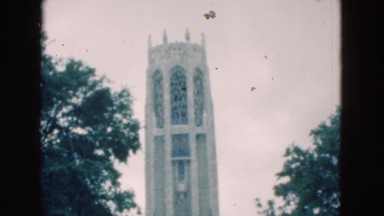 Tall pale stone tower rising behind dark green trees under a cloudy sky.