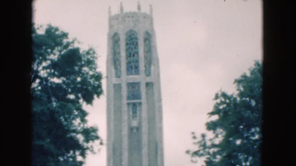 The tower remains centered in a soft 8mm view, with green trees partly framing the pale stone structure.