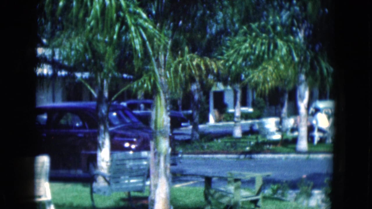 1975 Florida home-movie frame with palm trees, benches, parked cars, and low roadside or cabin-like buildings in the background.