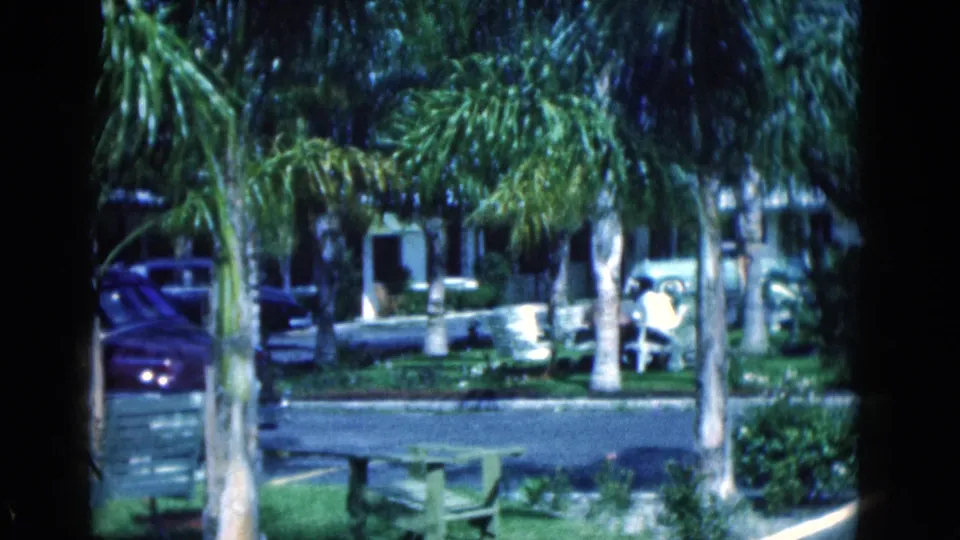 1975 Florida 8mm frame showing palm trees, benches, shrubs, parked cars, and low buildings viewed from a lawn across a quiet street.