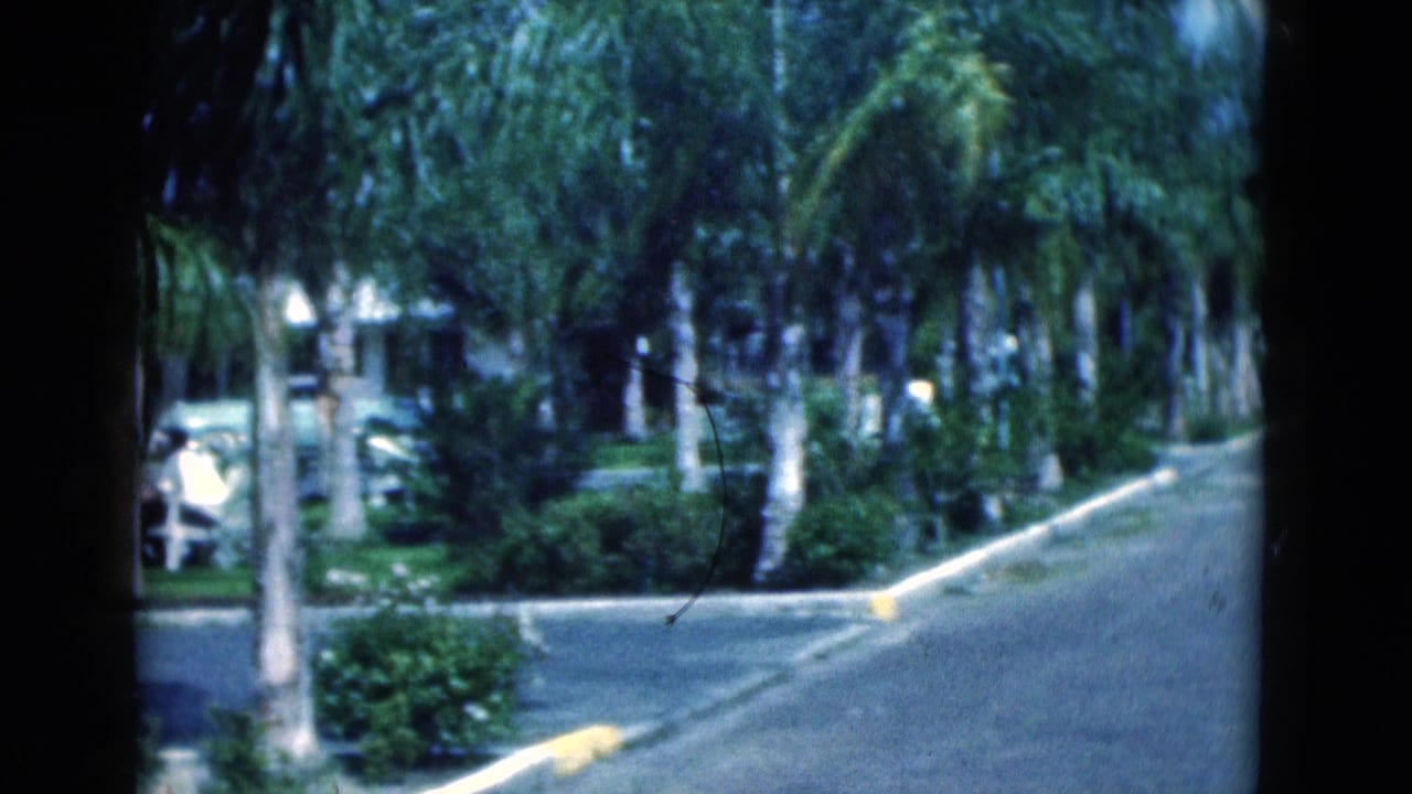 A curving Florida neighborhood street appears through palm trees, with lawns and parked cars visible in the background.