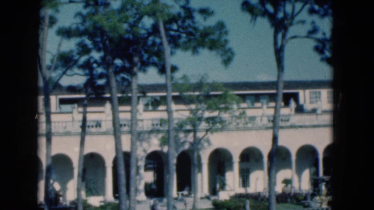 Arched stucco building seen through tall pine trees beside a sunlit garden.