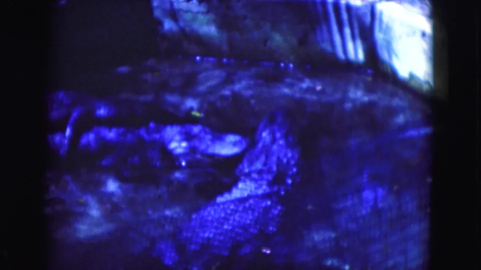 1975 Florida 8mm frame with several alligators visible in a shadowed exhibit area, heavily tinted blue by the film scan.