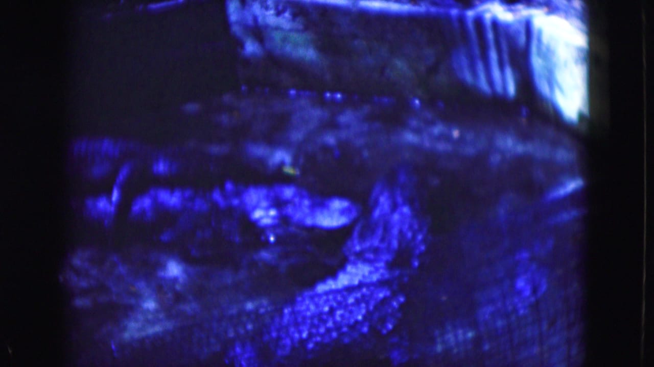 1975 Florida 8mm frame showing a dark blue watery or glassy surface with blurred texture and bright speckled highlights.