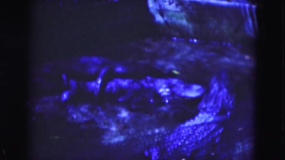 1975 Florida 8mm frame holding on a dim blue watery-looking surface with blurred highlights and indistinct shapes.
