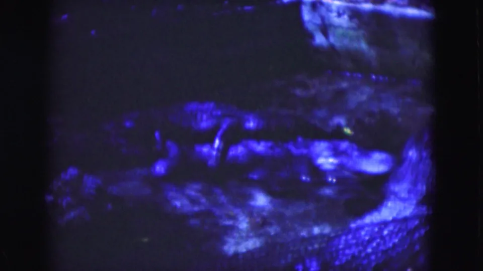 1975 Florida 8mm frame showing a dark blue abstract watery surface with speckled highlights and low-light film grain.