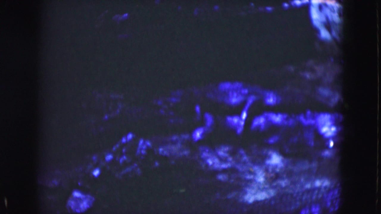 1975 Florida 8mm frame showing blurred blue-lit forms and mottled texture within a dark, grainy composition.