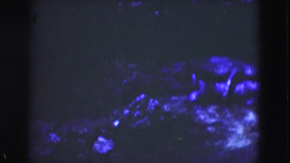 1975 Florida 8mm frame with a blue cast over indistinct rough material, shadowed edges, grain, and a small pale object below.