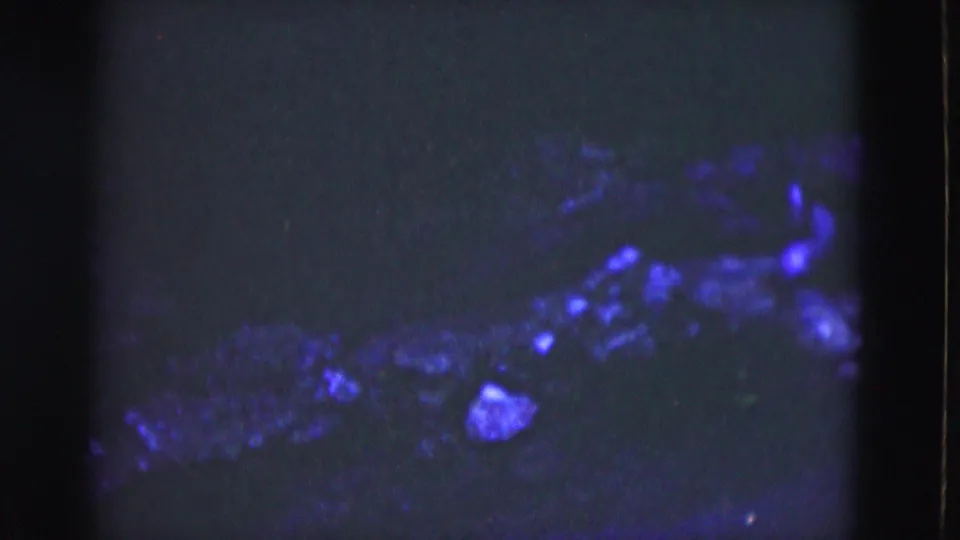 1975 Florida 8mm frame with scattered blue-purple highlights, unclear textured material, heavy shadow, and visible grain.