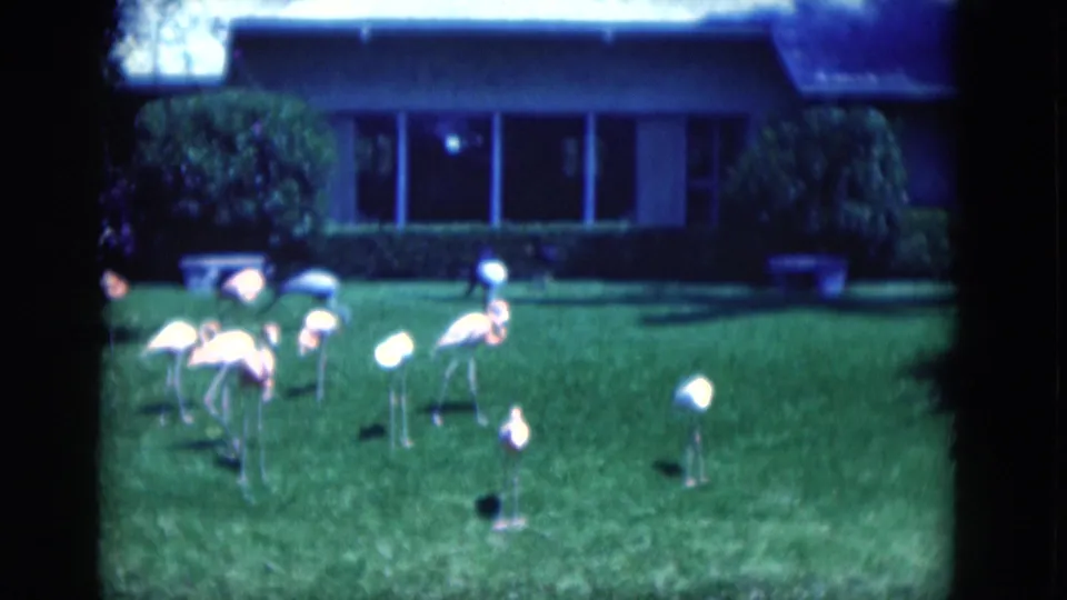 1975 Florida 8mm frame with lawn flamingos in the foreground and a shaded residential exterior behind them.