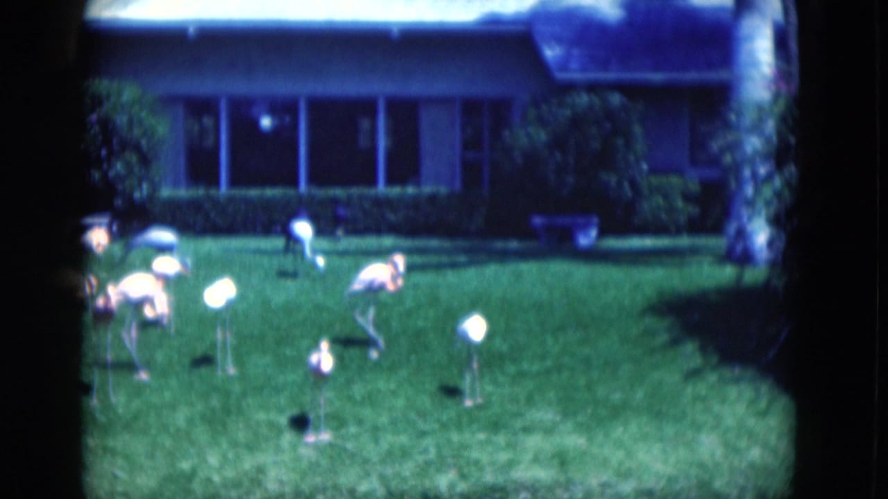 Pink flamingo lawn ornaments stand on grass in front of a low house.