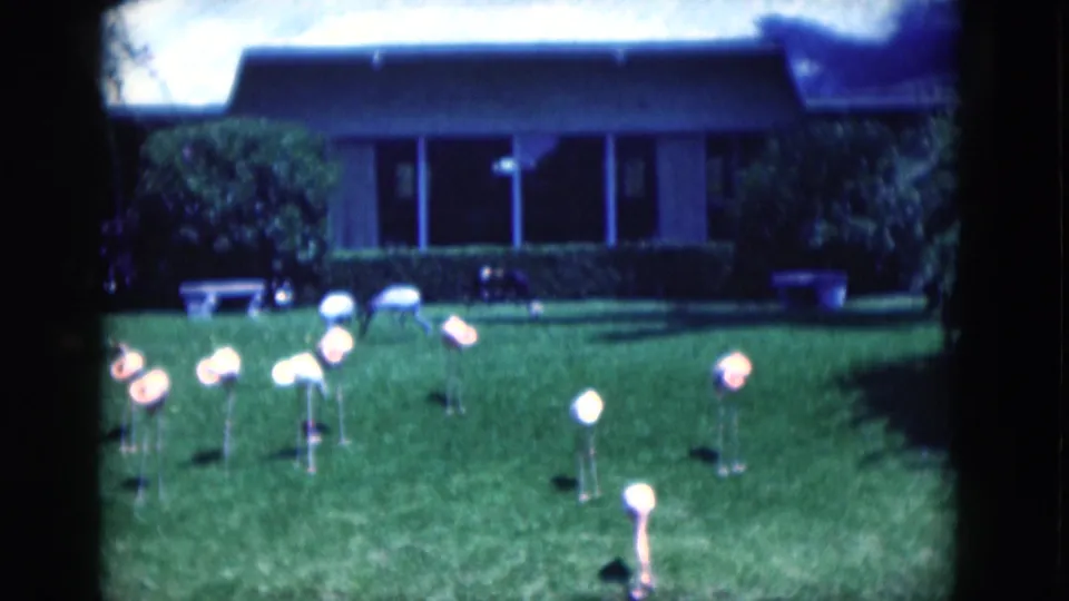Blue-cast 8mm frame from 1975 Florida showing flamingo yard ornaments across grass in front of a low residential house.