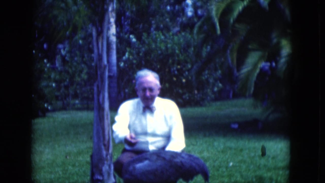 Man seated on lawn reaching toward a large dark bird near a tree.