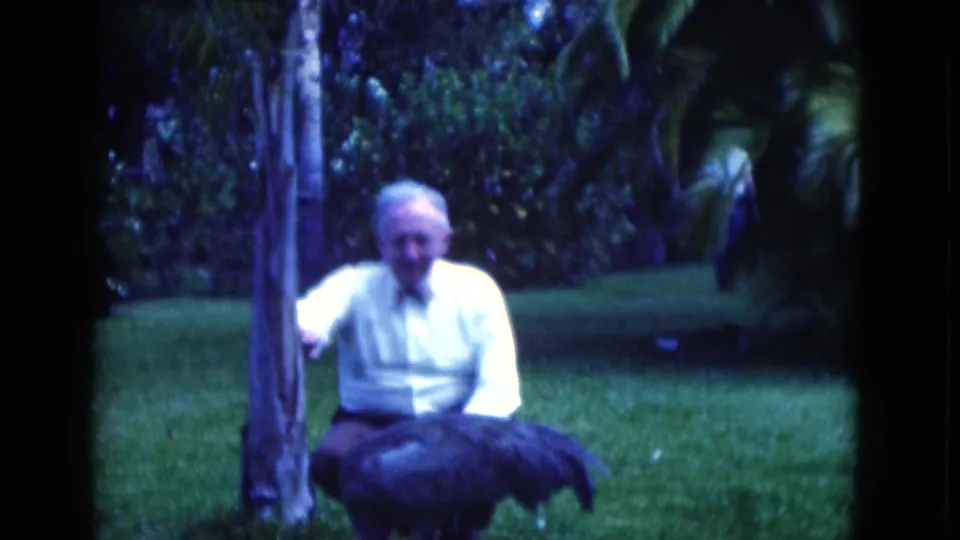 A large dark bird stands across the foreground while the seated man is partly visible behind it in a green Florida garden.