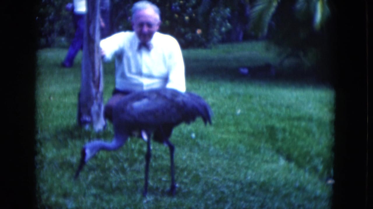 Older man beside a tree watches a large long-legged bird on a lawn.