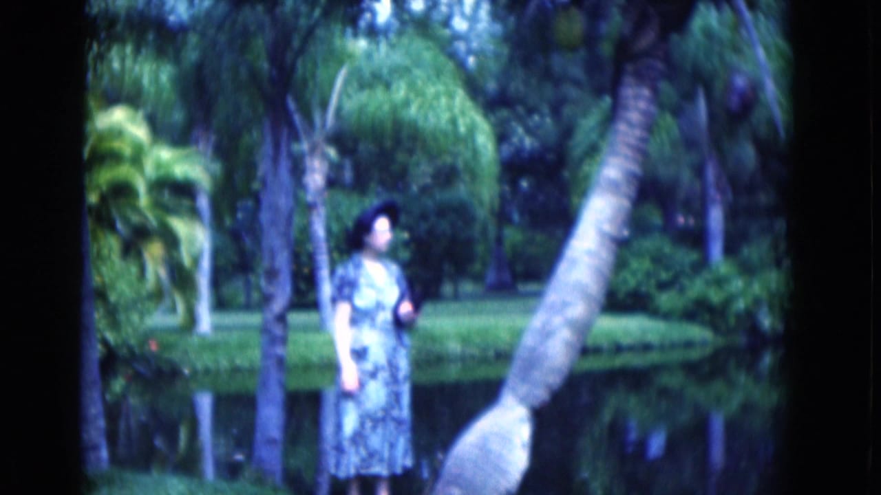 Woman in a patterned dress stands near a pond among palm trees.