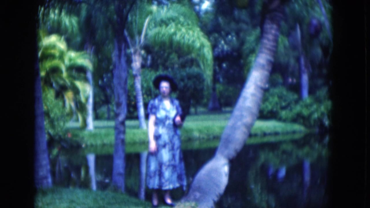 Woman faces the camera near a pond with palms and shrubs behind her.