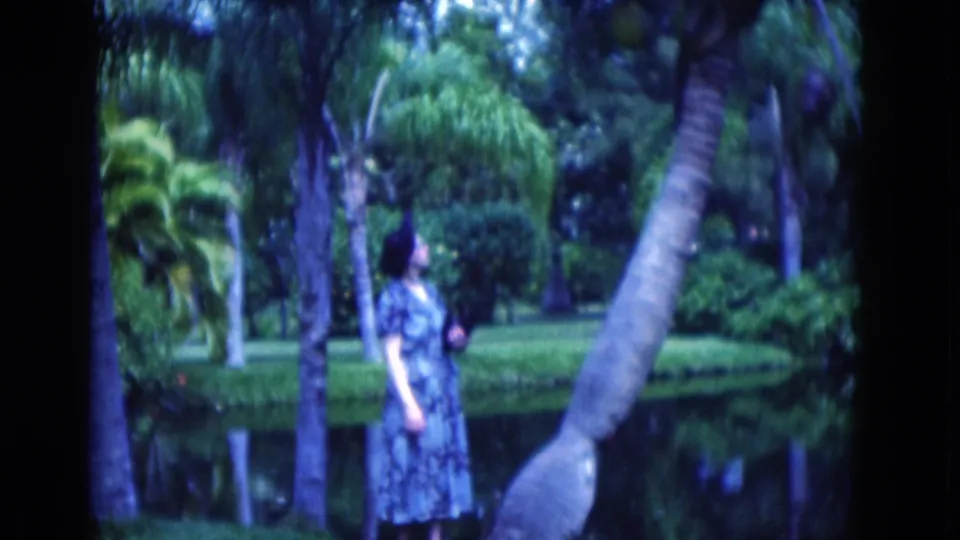 1975 Florida 8mm frame of the woman in profile beside a pond, with palms, shrubs, and a leaning trunk nearby.