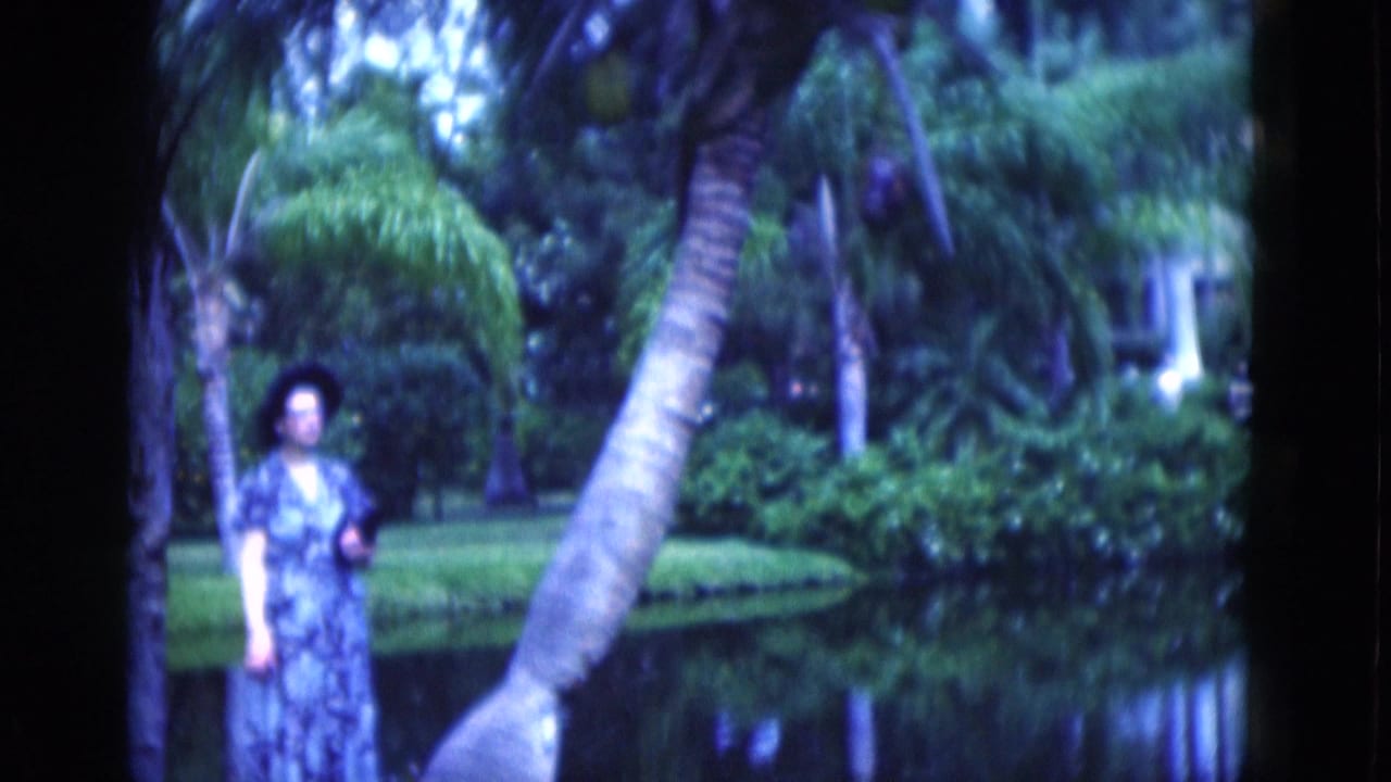 Woman in a patterned dress stands near a leaning coconut palm beside water.
