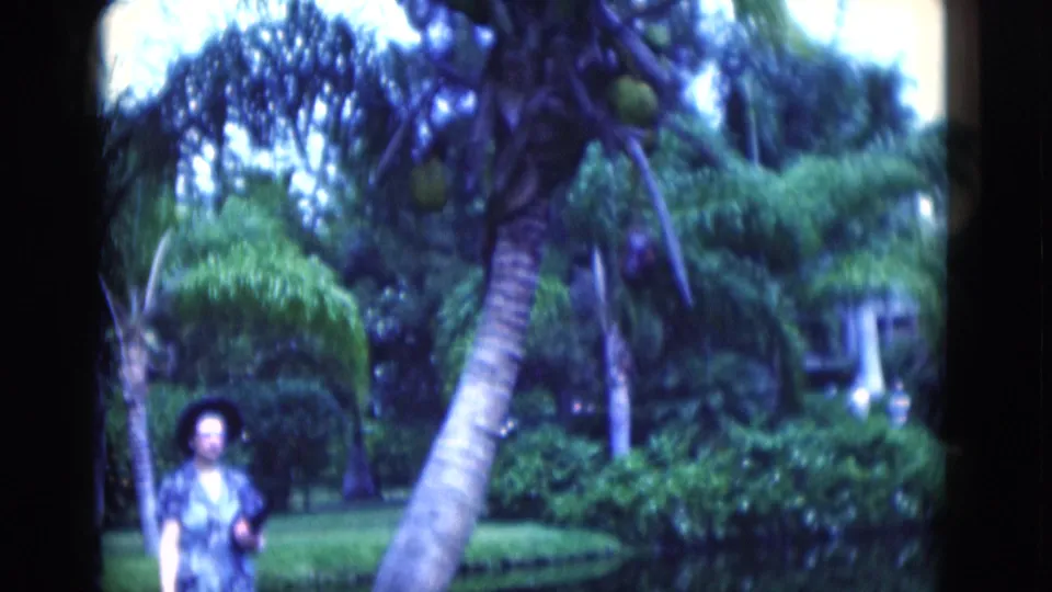 1975 Florida home-movie frame with a woman near a coconut palm, dense palms, lawn, and a small glimpse of a building through foliage.