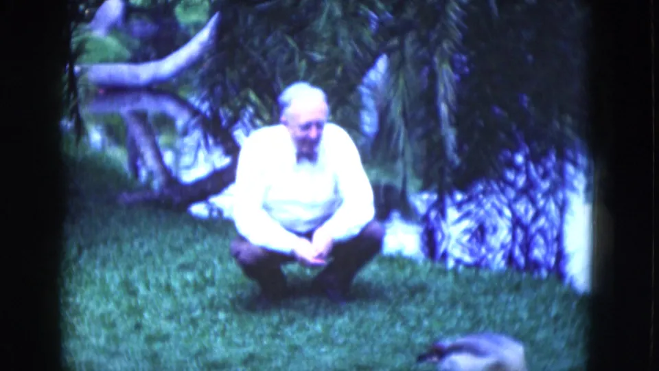 Adult man in a white shirt crouches on a Florida park lawn near water, palms, and a duck at the frame edge.