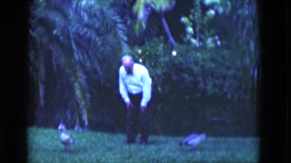 A wider 1975 Florida home-movie frame shows the older man on the lawn with two geese nearby under palm foliage.